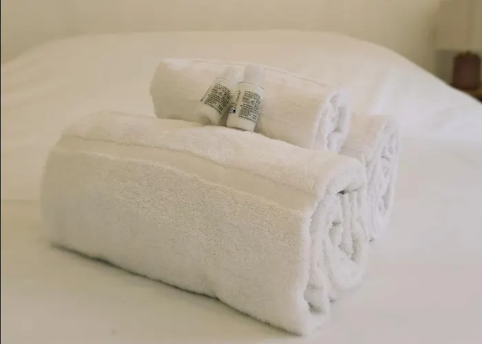 Bara By Yume 툴루즈